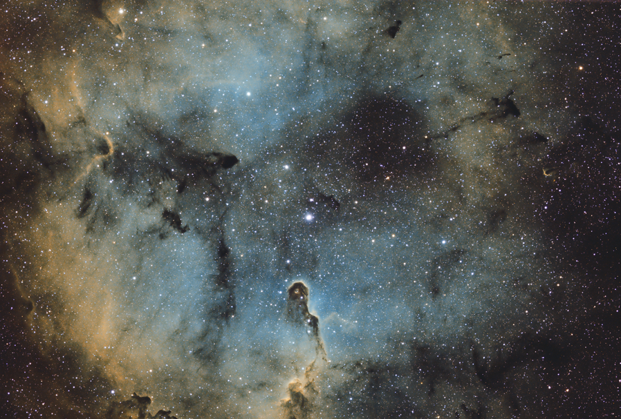 Elephant Trunk Nebula astrophotography capture