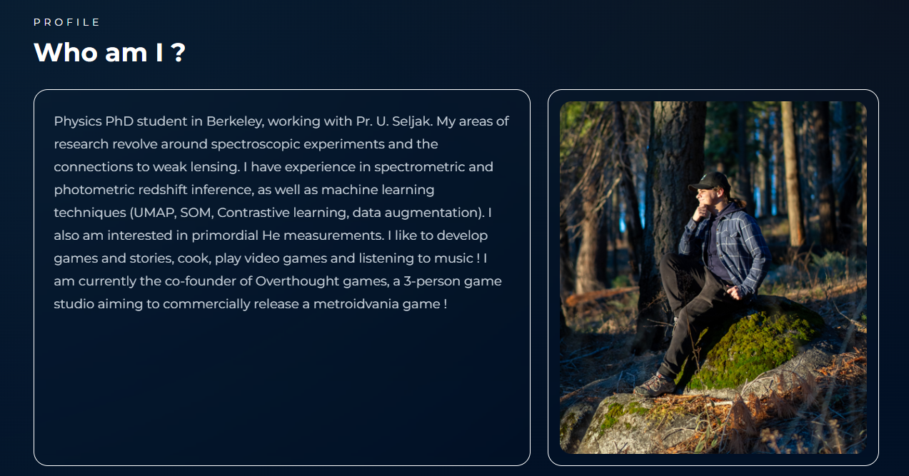 This website homepage preview